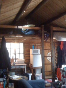 I slept in the loft. Just me and the bats.